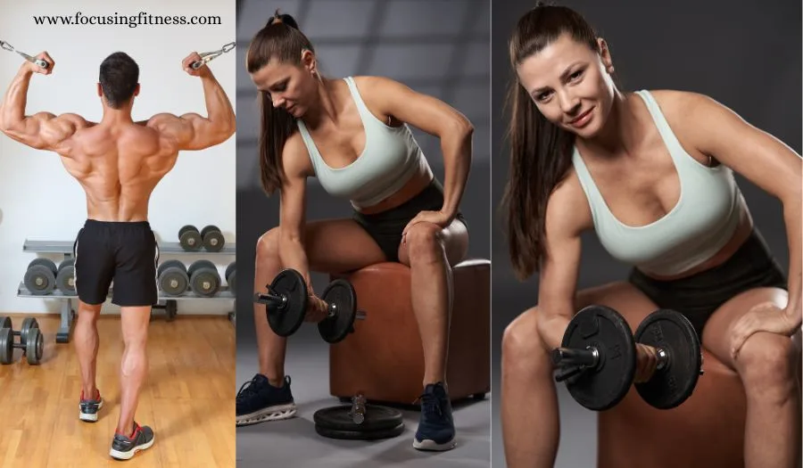 Biceps Workout Chart Step By Step Biceps Workout Chart Step By Step